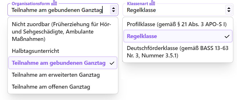 Mögliche Einträge in den Feldern "Organisationsform" und "Klassenart"